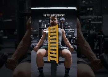 Muscle Ladder