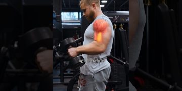 Biceps Exercises