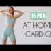 beginner cardio workout